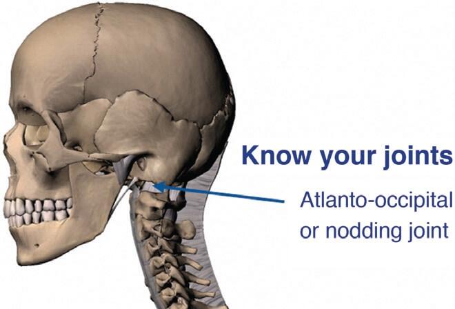 know-your-joints-atlanto-occipital